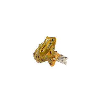 Cristiani Collezione Frog Trinket Box.